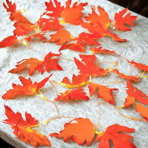 Autumn Spirit Lights